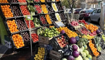 Agroestilo - 11200 Montevideo