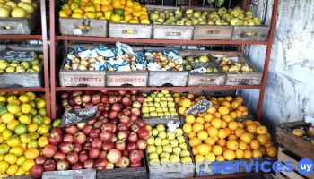 Agropecuaria K 16 - Montevideo