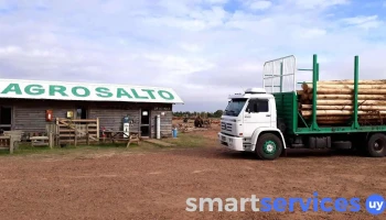 Agrosalto S.a. - 50000 Salto