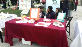 Allegra, Salón de Fiestas - 80000 San José De Mayo