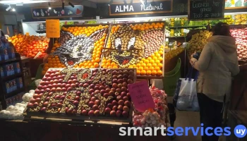 Alma Natural - 11800 Montevideo