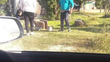 Alquiler De Apartamentos - Cdad