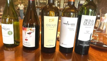 Antigua Bodega - 15900 La Paz