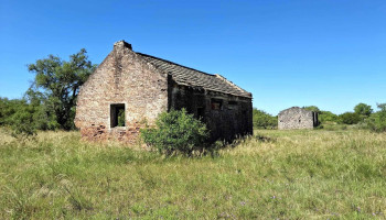 Antiguo Saladero Román - 65000 Nuevo Berlin