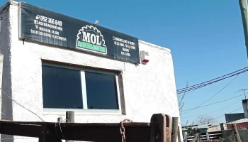 Aserradero mol - Barros Blancos