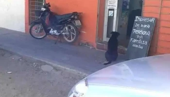 Autoservice La Nueva - Empalme Olmos