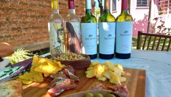 Bodega Bresesti - Perimetral Wilson Ferreira Aldunate Esquina
