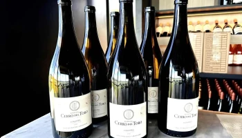 Bodega Cerro del Toro - 20200 Piriápolis