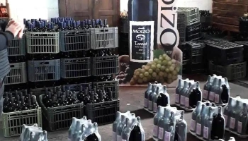 Bodega Familia Moizo - 15900 Progreso