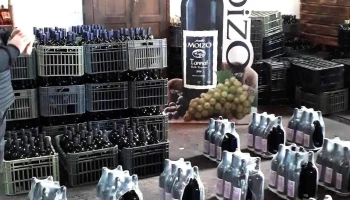 Bodega Familia Moizo - 15900 Progreso