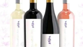 Bodega Finca Las Violetas - Camino R. Soca