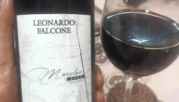 Bodega Leonardo Falcone - 60000 Paysandú