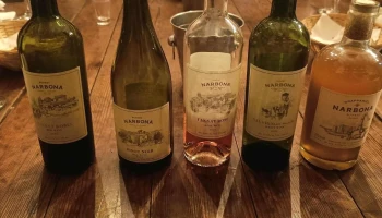 Bodega Narbona - 70700 Nueva Palmira