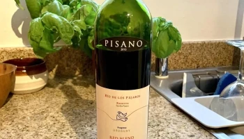 Bodega Pisano - 90300 Progreso