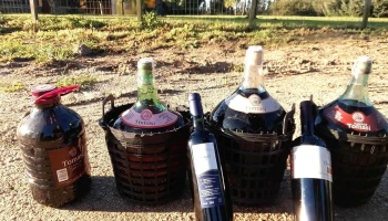 Bodega Tomasi - Camino Pajas Blancas