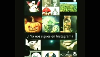 Botica Croi 𝐃𝐞𝐬𝐝𝐞 𝟐𝟎𝟏𝟏 Tienda Ocultista - Artículos para Magia(k) y Brujería Tradicional - Tienda Pagana - 11200 Montevideo