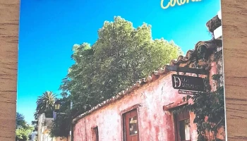 Bus Turístico Colonia - Col. Del Sacramento