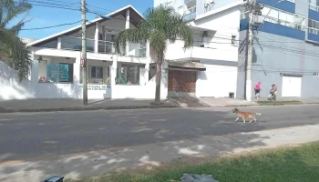 Calandria house - Ruta 7