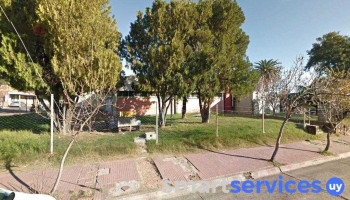 Cambilex - 60000 Paysandú