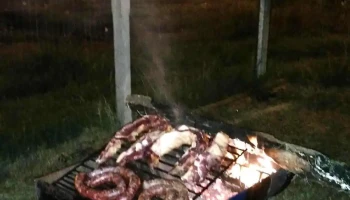Carnicería - Durazno