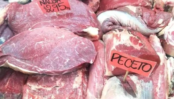 Carnicería la 8 - Paysandú