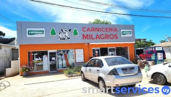 Carnicería milagros - 27400 La Aguada Y Costa Azul
