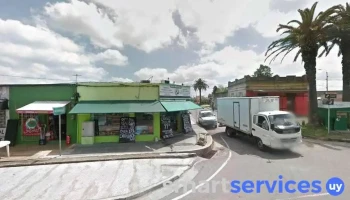 Carnicería Ruta - Av. Manuel D. Rodríguez