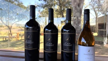 Casa Tannat - Camino De La