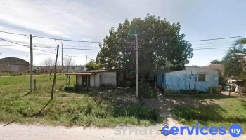 Chuy Rocha Uruguay - Chuy
