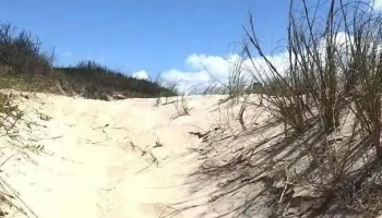 Conaguademar - La Paloma