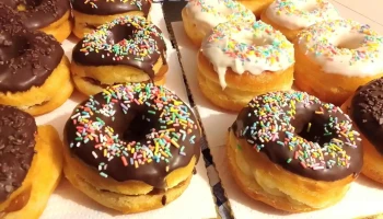 Donas - 45100 Paso De Los Toros