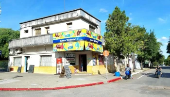 El Rincon - 65100 Young