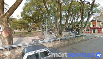 Estudio Godoy - Durazno