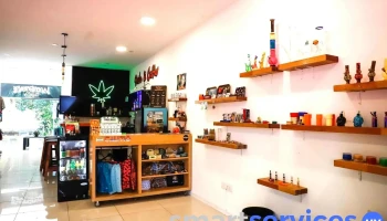 Evergreen Culture coffee Shop Growshop - 70000 Col. Del Sacramento