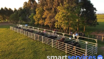Farmquip Uruguay - 15000 Ciudad De La Costa