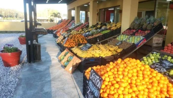 Frutería Solanas - 20003