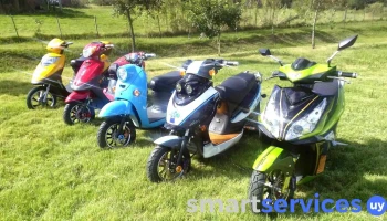 Haguere Sa (sakura Uruguay) - 15500 Barros Blancos