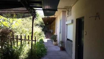 Hotel Martinez - Young