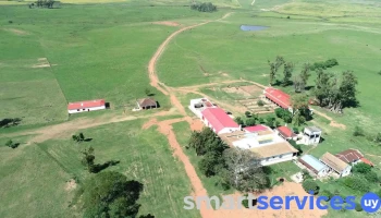 Inmobiliaria Rural Campos Online Uruguay - Nueva Helvecia