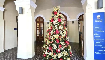 Intendencia de San José - 80000 San José De Mayo