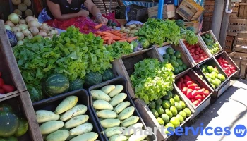 Joffre Frutas Y Verduras Venta mayor y menor - 50000 Salto
