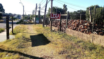 Leñería Guerra - 11900 Montevideo