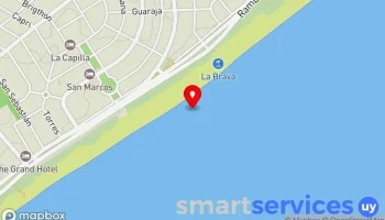 Mieles del este - Uruguay