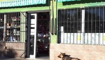 Minimercado del barrio - 91400 Santa Rosa