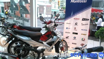 Montossi - Maldonado