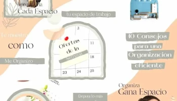 Ms - Agencia de Marketing Digital - La Floresta