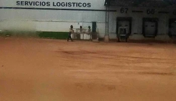 Murchison (Uruguay) S.a. - Cdn1 - Logística - 12800 Montevideo