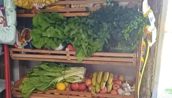 Nuestro Mielito - Departamento De Maldonado