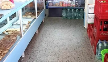 Panadería Modelo - Y