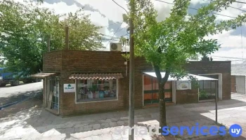 Panaderia Rincon - 65100 Young